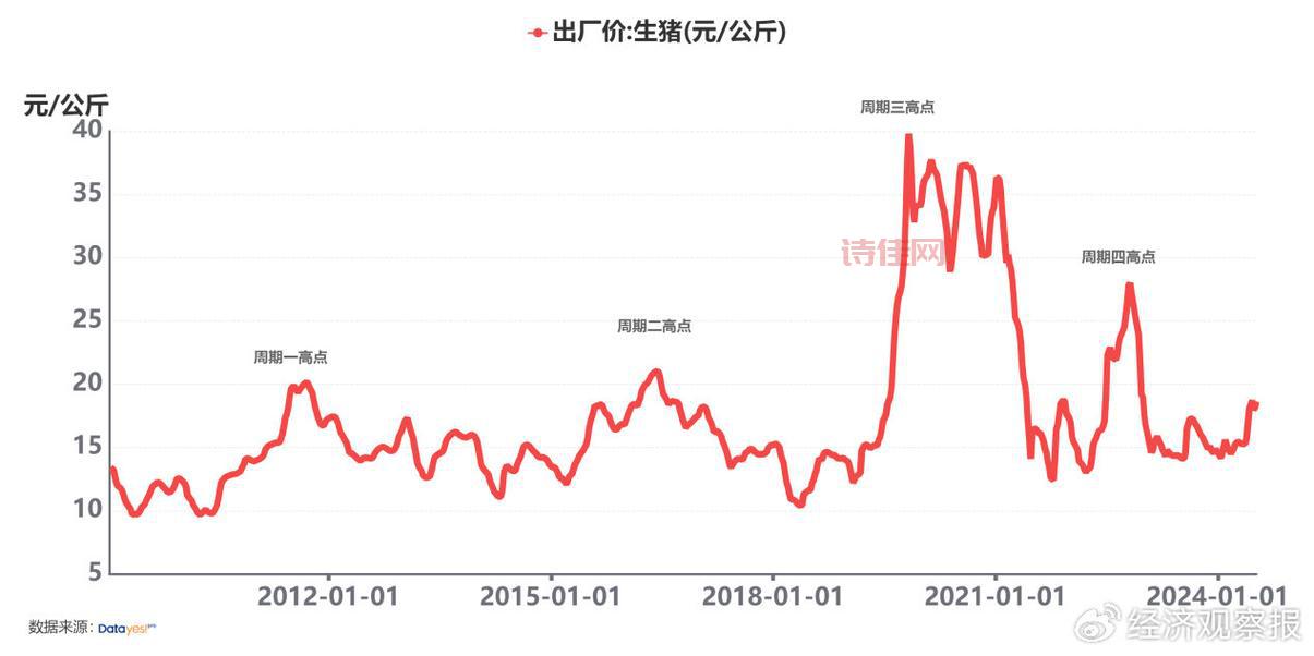 猪肉价格什么时候能降下来