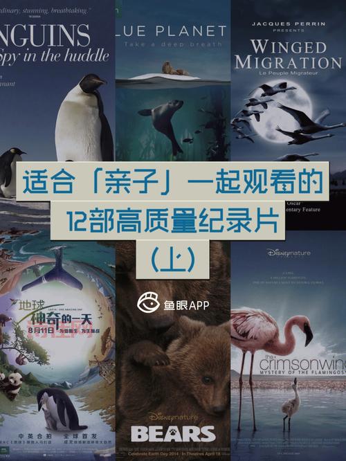 金砖国纪录片哪家强？这几部作品值得一看！