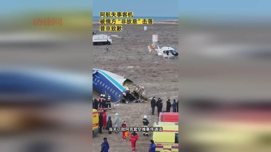 埃航空难初步调查