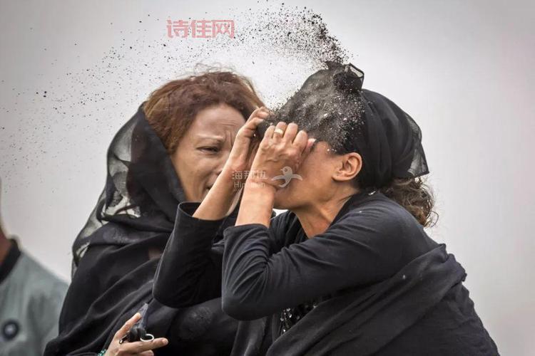 埃航空难初步调查