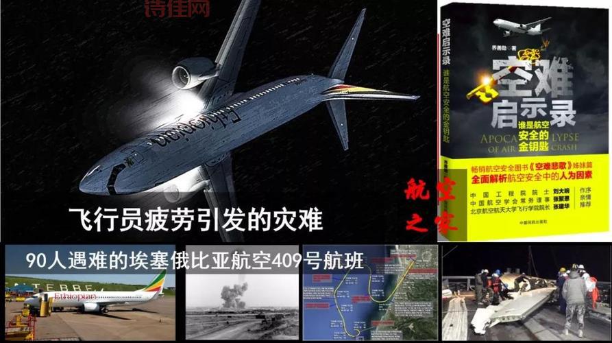 埃航空难初步调查