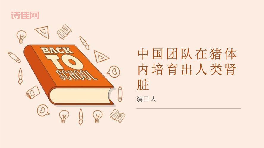 中国团队在猪体内培育出人类肾脏