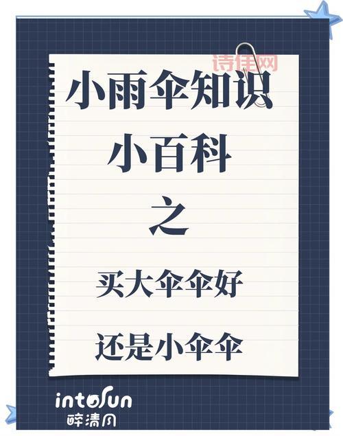 小雨伞发布声明后怎么办？手把手教你应对方法！