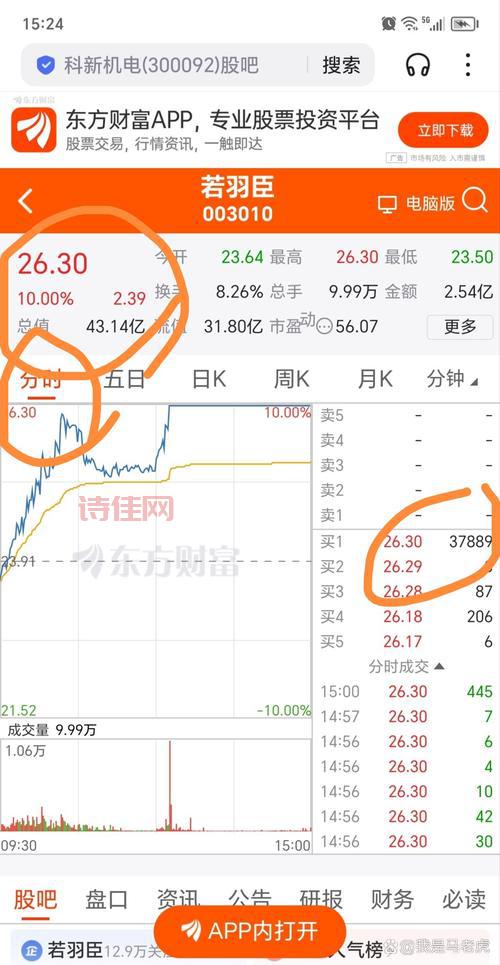 a股鼠年开市大跌后市怎么走？专家解读来了！