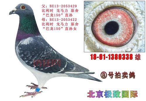 北京中拓国际拍卖有限公司地址在哪？联系方式是什么？