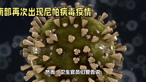 印度将成疫情新爆点