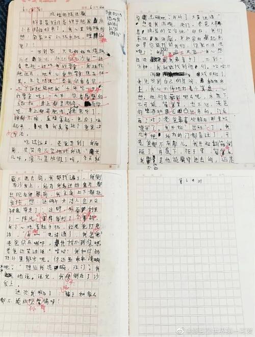 分析缪可馨作文原文，我们能从中读出什么信息？