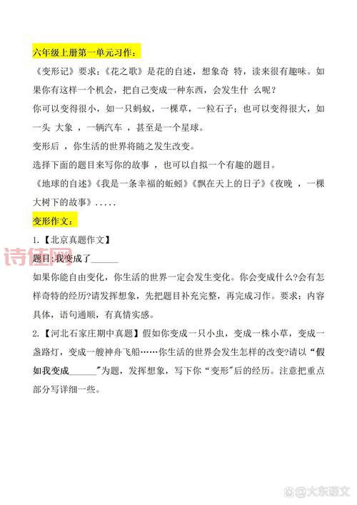 分析缪可馨作文原文，我们能从中读出什么信息？