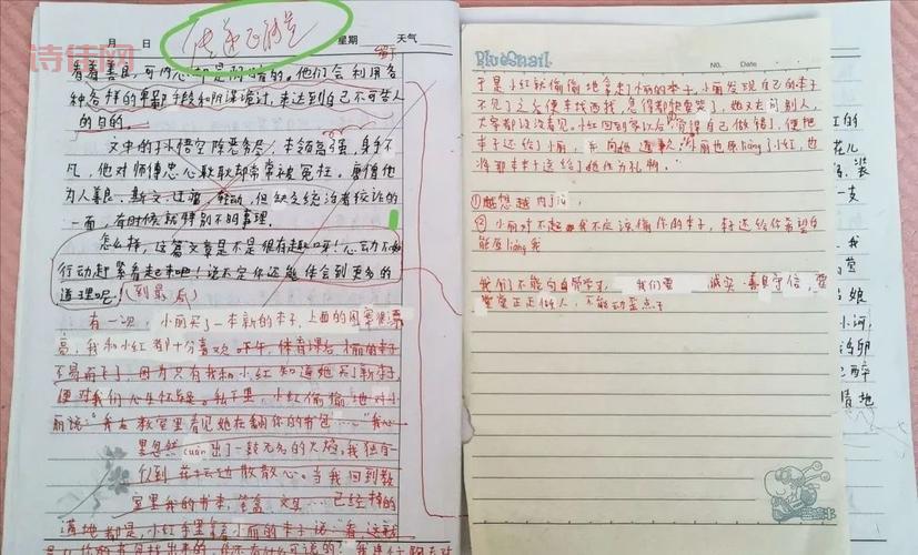 分析缪可馨作文原文，我们能从中读出什么信息？