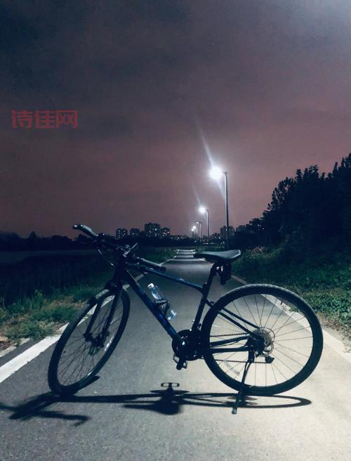 2017夜夜骑日日日