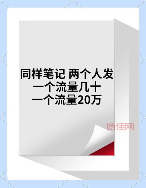 网红扎堆到麦地割麦是为啥？揭秘背后吸引流量的原因！