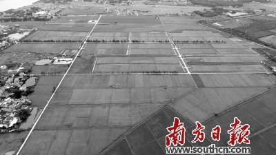 持续改革激发农业农村发展活力