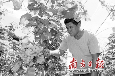 持续改革激发农业农村发展活力