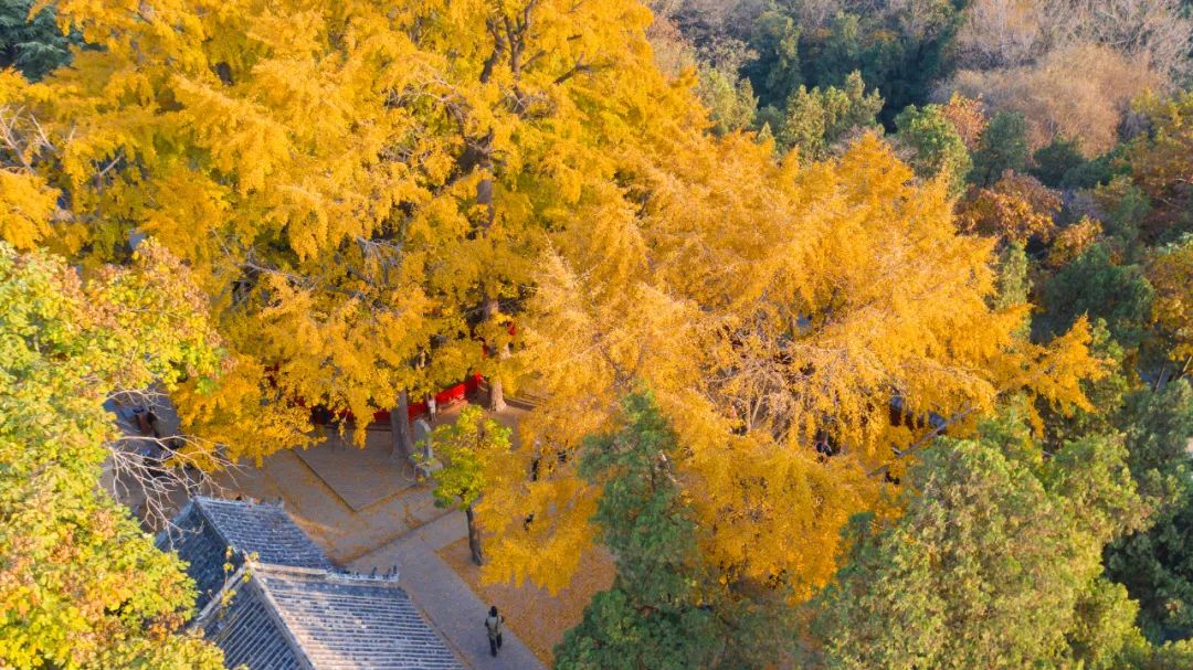 日照旅游必去十大景点推荐，你去过几个？