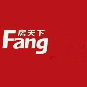 中国十大知名二手房产中介