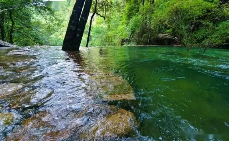 南平十大必玩景点，去过九处才算真正玩转南平