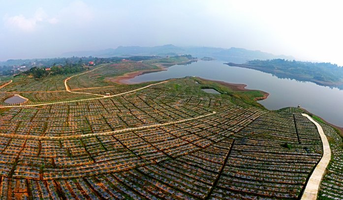重庆长寿：山水间描绘振兴图