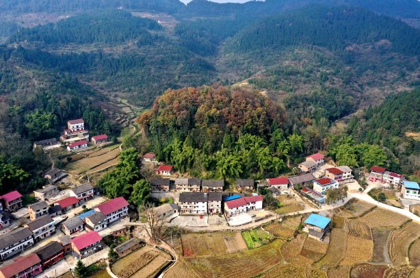 重庆长寿：山水间描绘振兴图