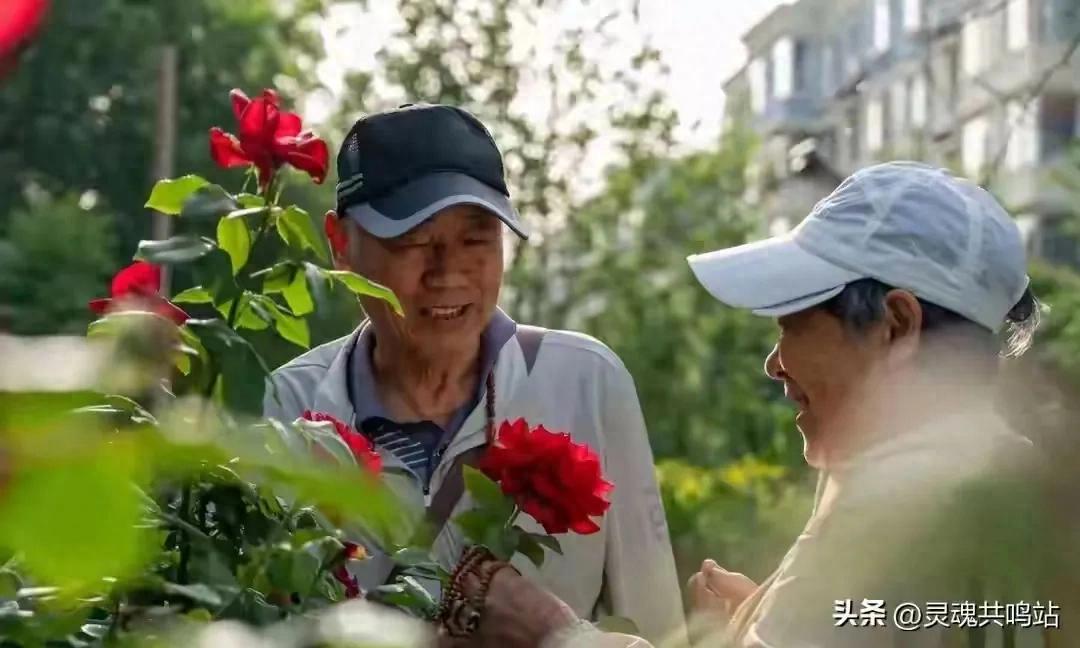 优质新闻稿为何无人问津？