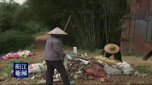 阳春八甲：探索新路子治理乡村环境