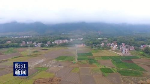 阳春八甲：探索新路子治理乡村环境