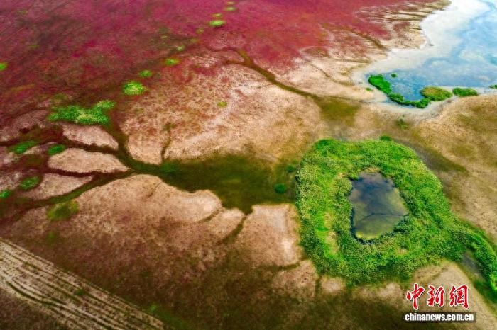全球专家共倡滨海生态保护科学路径