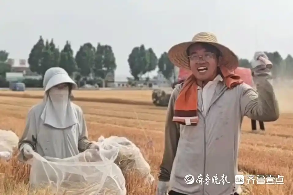 高教瞭望｜和大学生一起种小麦，种粮大户为啥“认赌服输”