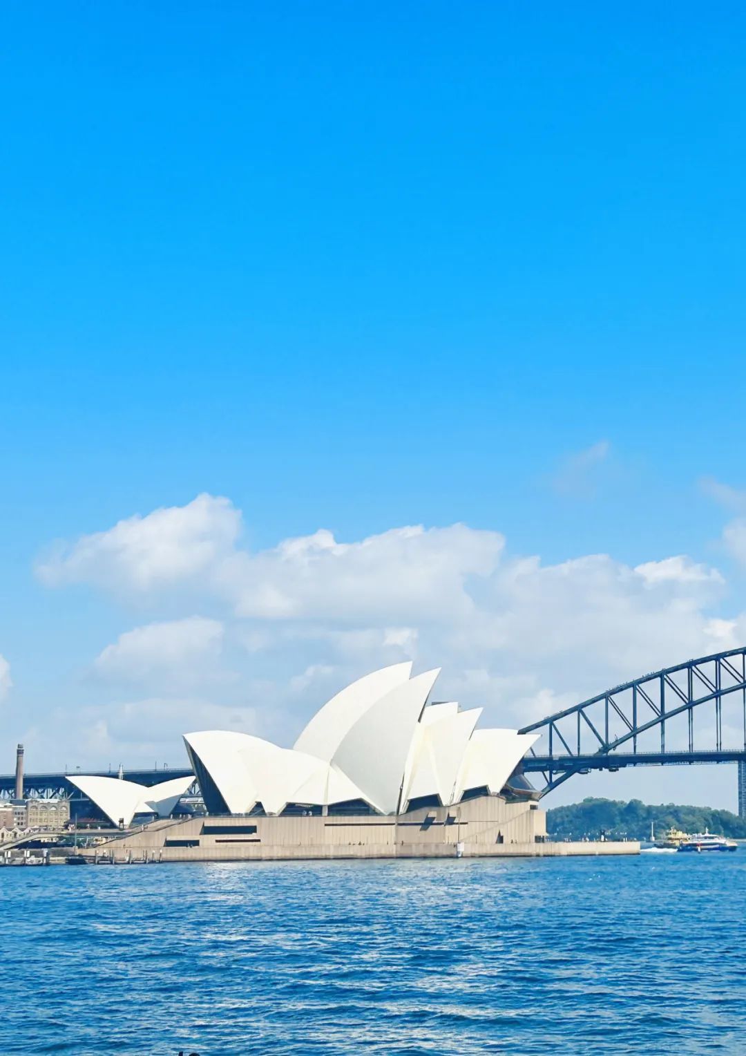 我们出发啦！新东方文旅青少年2025暑假·夏令营向世界启航