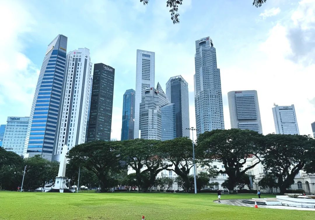 我们出发啦！新东方文旅青少年2025暑假·夏令营向世界启航