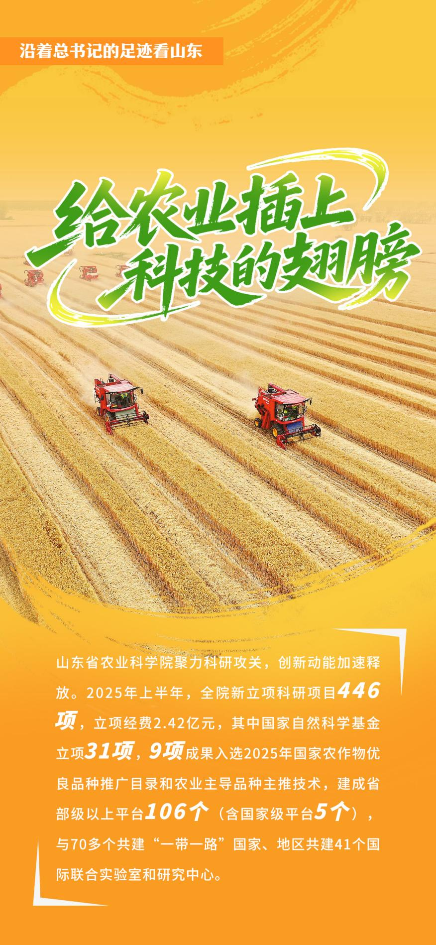 沿着总书记的足迹看山东｜给农业插上科技的翅膀