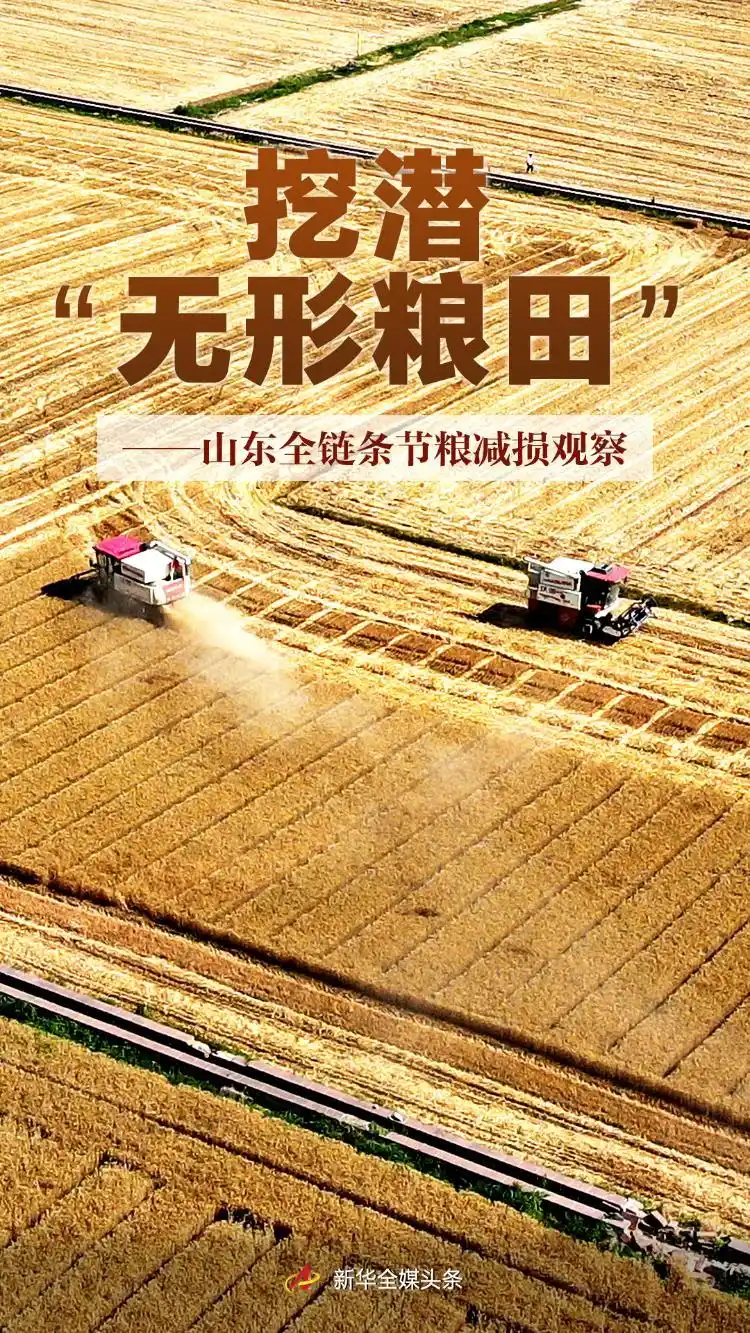 挖潜“无形粮田”——山东全链条节粮减损观察