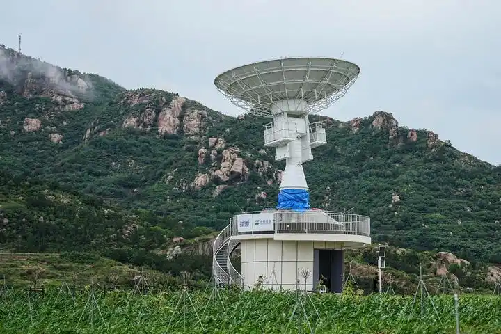 挖潜“无形粮田”——山东全链条节粮减损观察