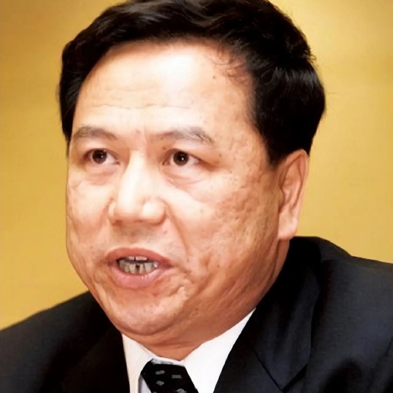 北京富豪王志才：紫禁城边有豪宅，娶“晴格格”为妻，却移民海外