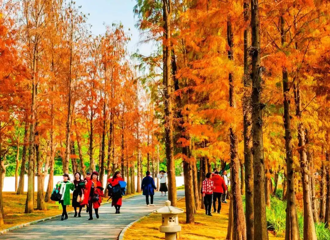 万有国际旅游度假区落户南宁