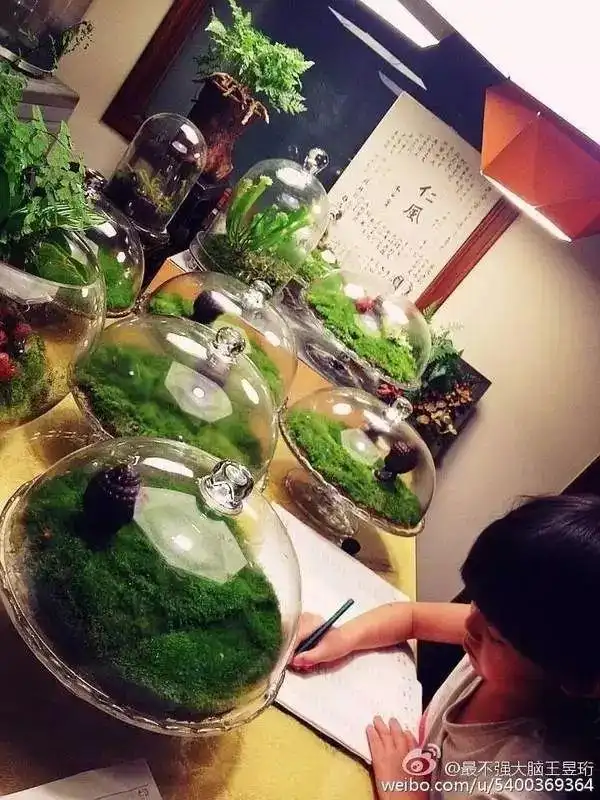 清华毕业不上班，养个女儿不上学，这个大脑最“性感”的男人把日子过成了诗