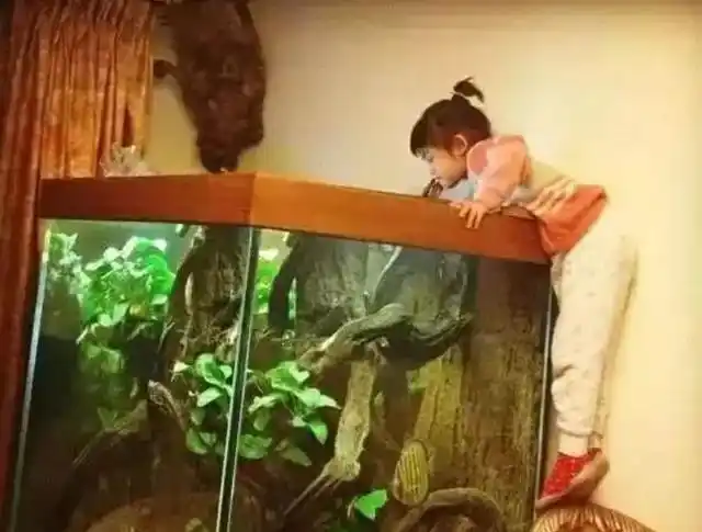 清华毕业不上班，养个女儿不上学，这个大脑最“性感”的男人把日子过成了诗