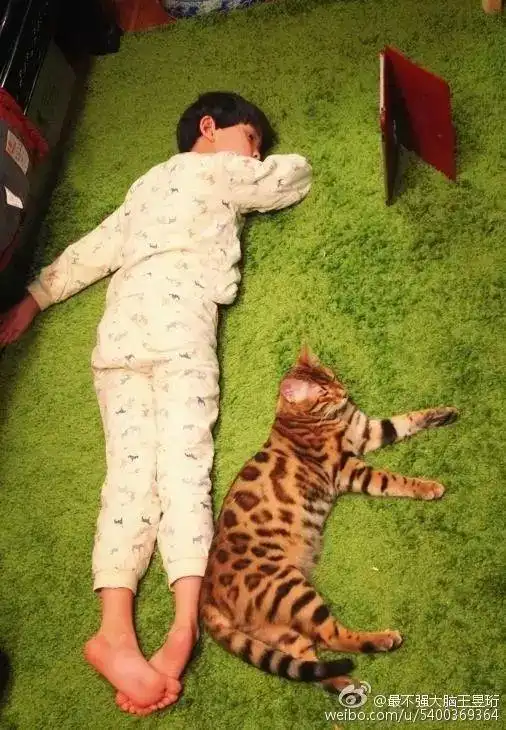 清华毕业不上班，养个女儿不上学，这个大脑最“性感”的男人把日子过成了诗
