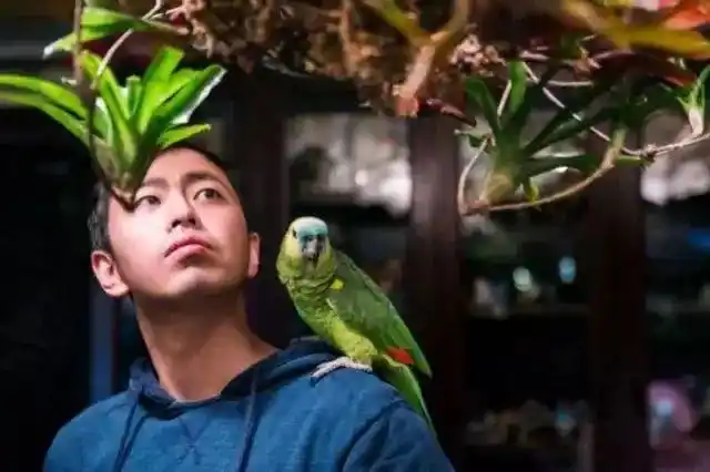 清华毕业不上班，养个女儿不上学，这个大脑最“性感”的男人把日子过成了诗