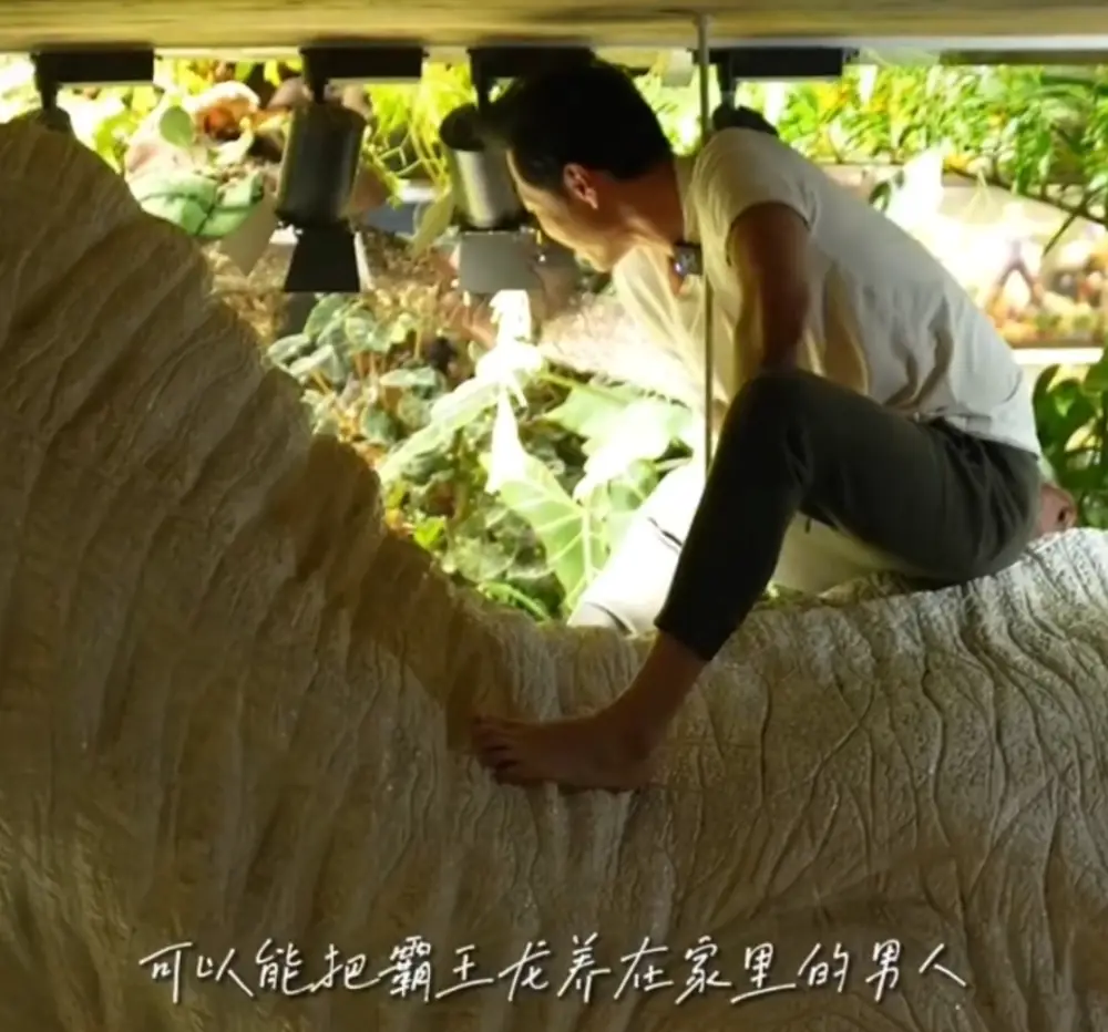 最强大脑水哥豪宅内景曝光，二十年没工作的他，直言赚钱太简单了