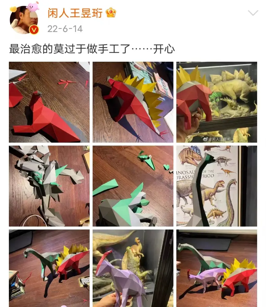 最强大脑水哥豪宅内景曝光，二十年没工作的他，直言赚钱太简单了