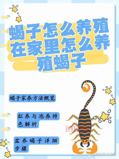 蝎子价格
