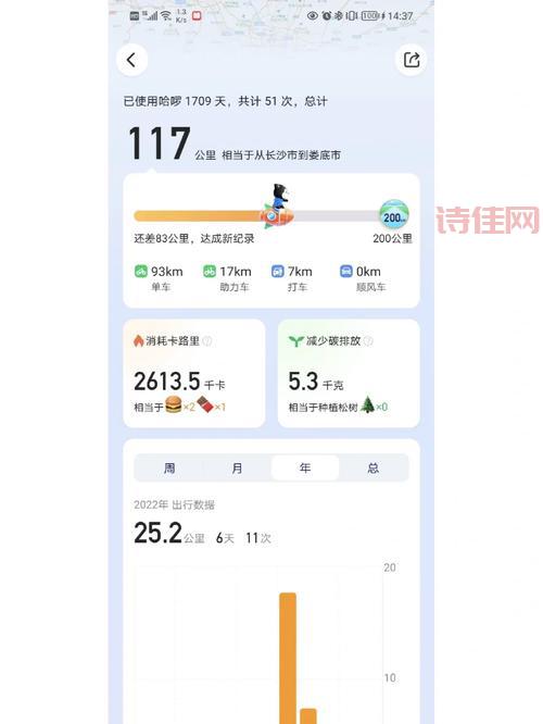 哈啰出行赴美IPO暂停：是战略调整还是另有隐情？