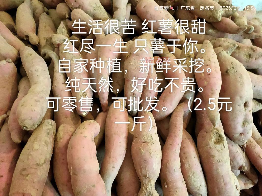 高州农业怎么样？看看这些特色农产品你就知道了！