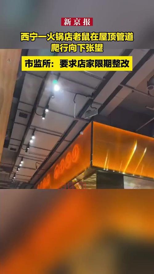 官方来了！市监局回应火锅店内出现老鼠，具体情况如何？