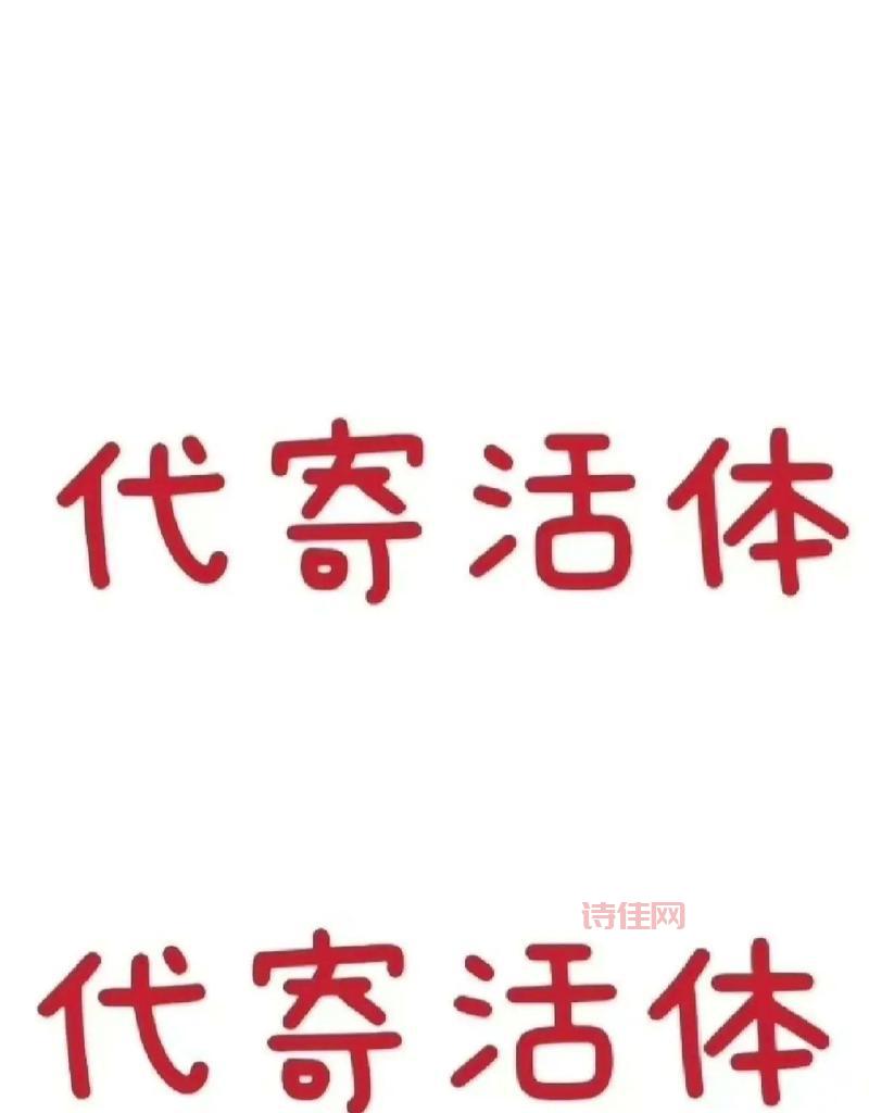 代写代发