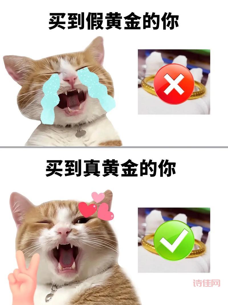 运兴财富网理财安全吗？专家教你如何辨别真假！