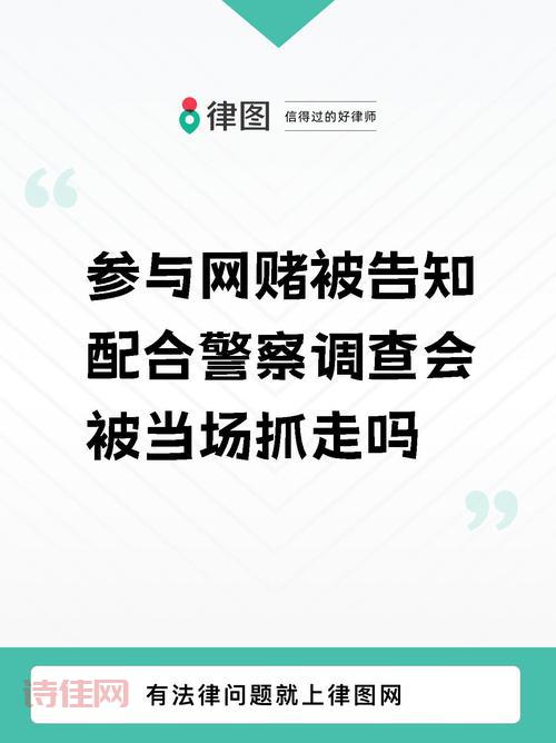 小赌大案：400元赌资撬动80多亿元，如何发生的？