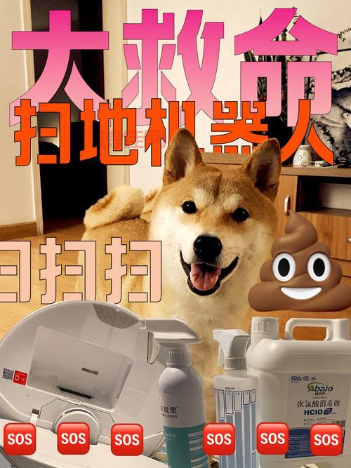 避免狗在家拉屎被扫地机器人涂满全家，这些预防措施要做好！