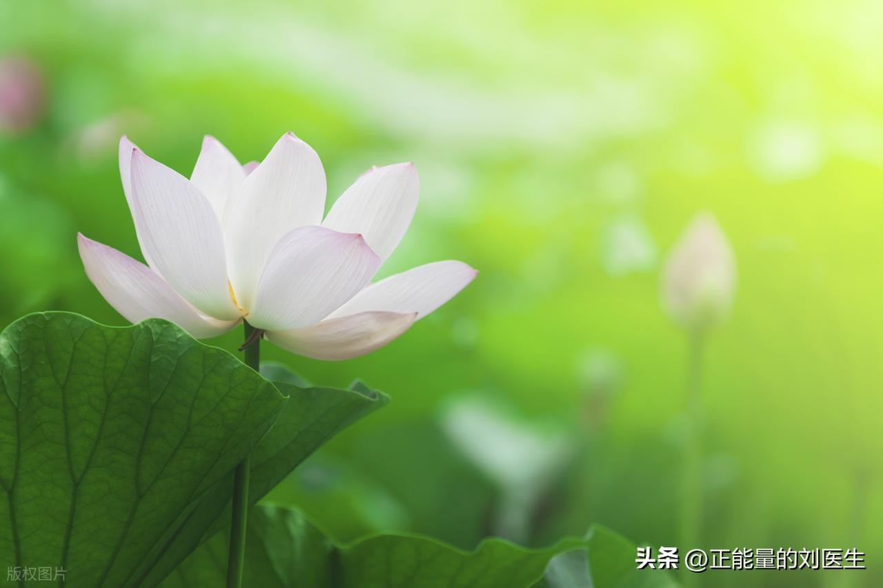 阳气亏虚、气机郁结伴瘀血内扰，中医如何调理海绵体敏感？