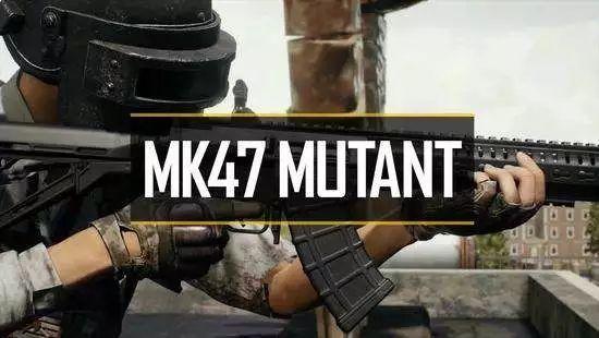 刺激战场：新枪MK47性能评测加实战，MINI14表示无所谓